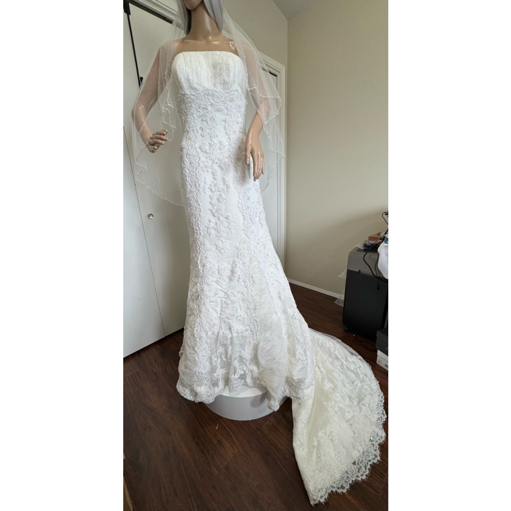 Pronovias Dafnis custom elaborately beaded strapless Wedding Dress/veil Sz 10/6